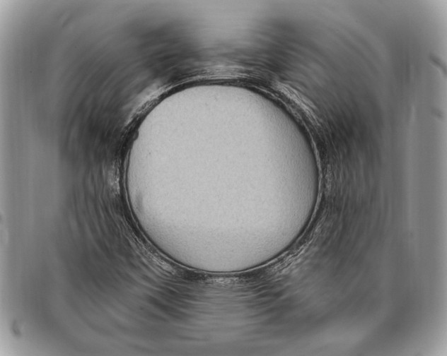 X0000096421451200802141622