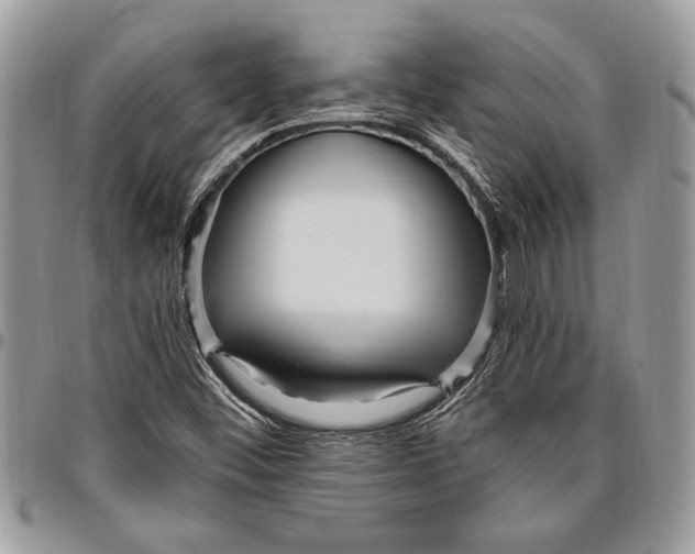 X0000096421452200802141622