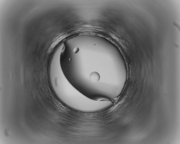 X0000096421453200802141622