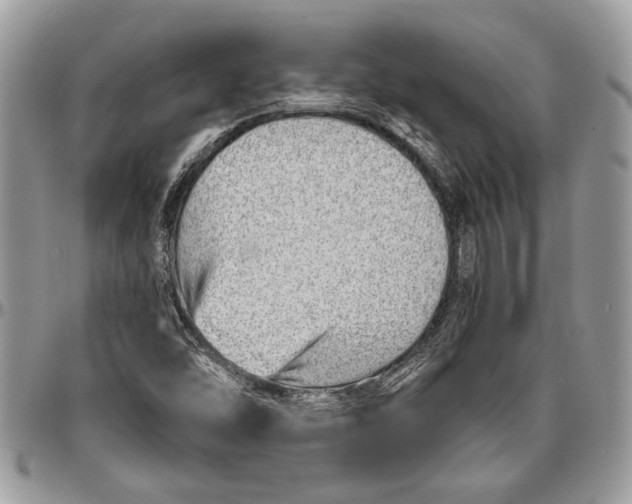 X0000096421454200802141622