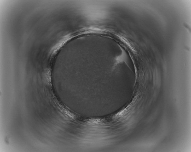 X0000096421455200802141622