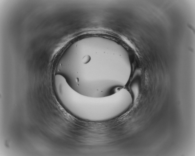 X0000096421456200802141622