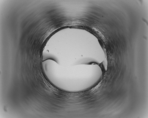 X0000096421457200802141622