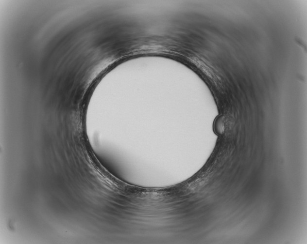 X0000096421458200802141622