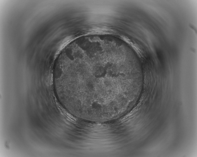 X0000096421459200802141622