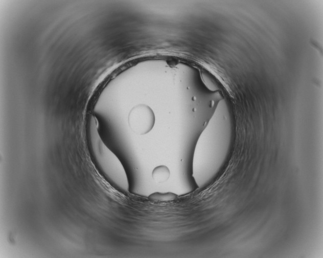 X0000096421460200802141622