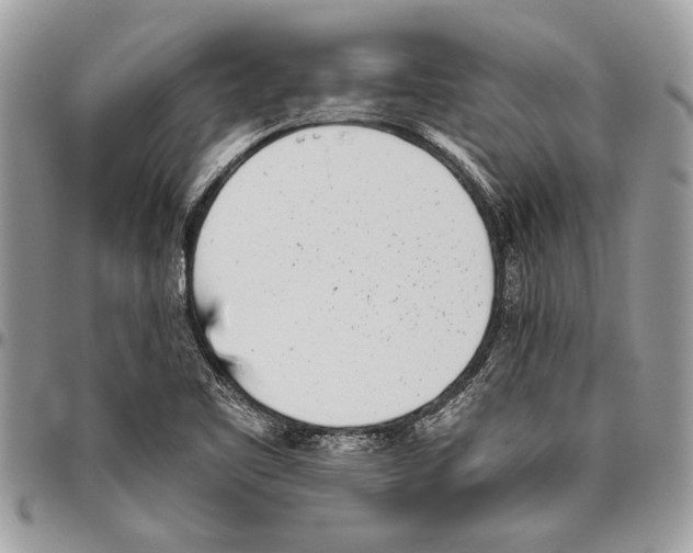 X0000096421461200802141622