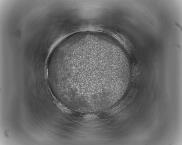 X0000096421462200802141622