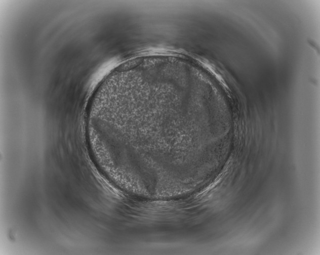 X0000096421463200802141622