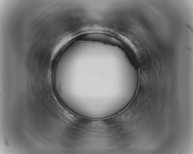 X0000096421464200802141622