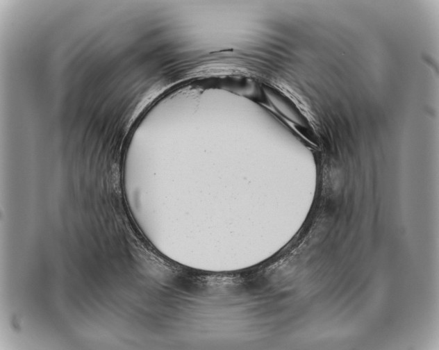 X0000096421465200802141622