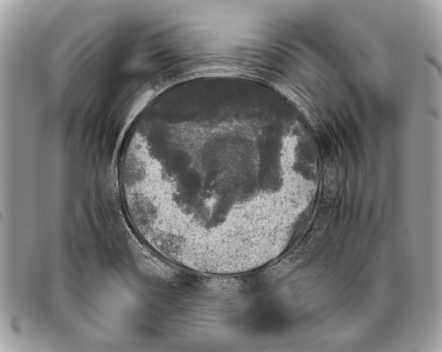 X0000096421466200802141622