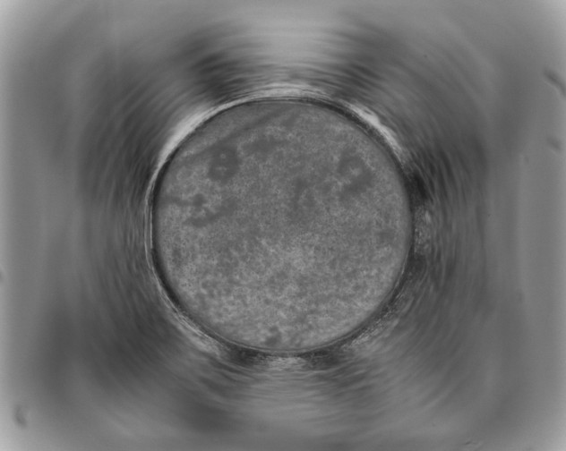 X0000096421467200802141622