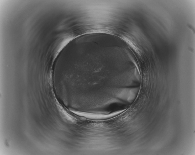 X0000096421468200802141622