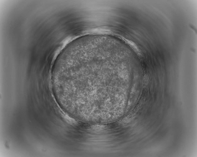 X0000096421470200802141622