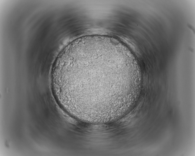 X0000096421471200802141622