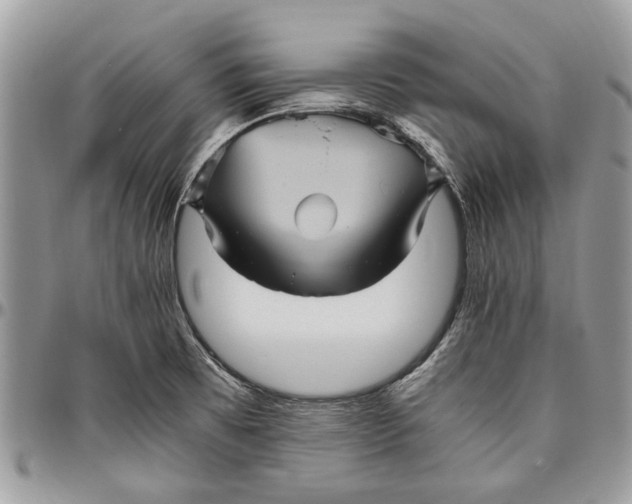 X0000096421473200802141622