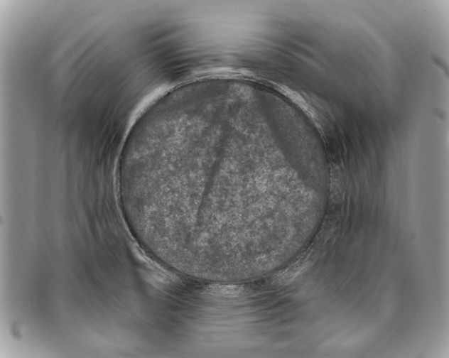 X0000096421474200802141622