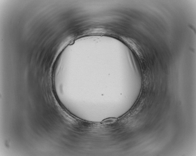 X0000096421475200802141622