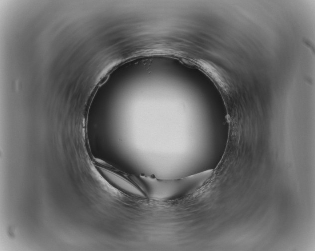 X0000096421476200802141622