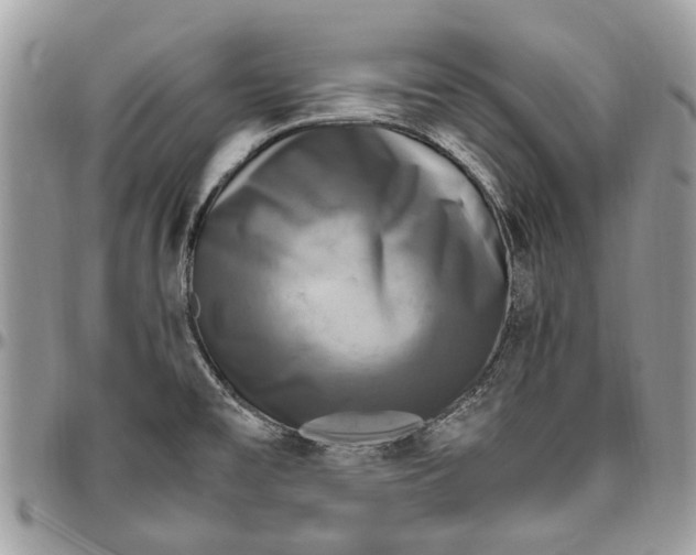 X0000096421477200802141622