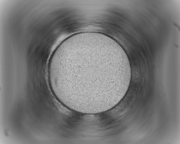 X0000096421478200802141622