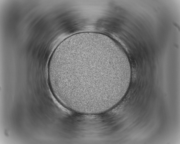 X0000096421479200802141622