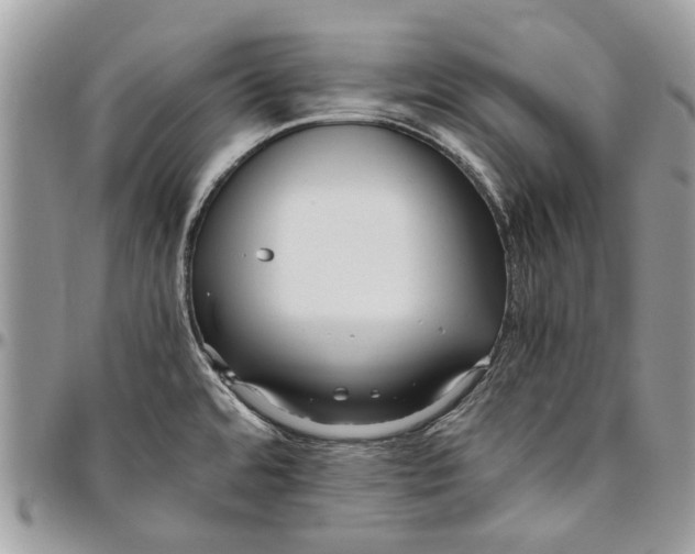 X0000096421480200802141622