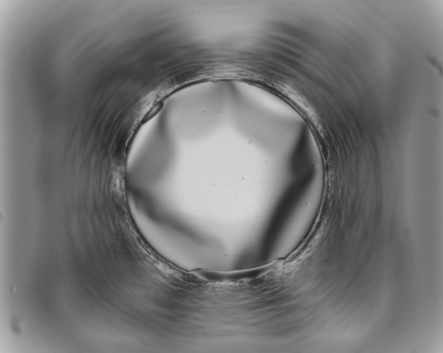 X0000096421481200802141622