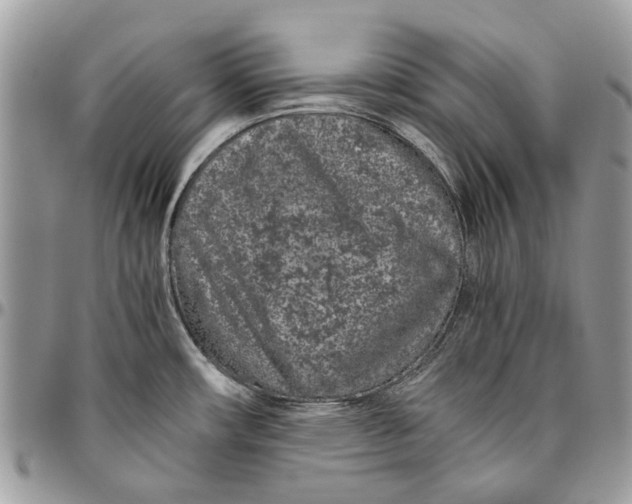 X0000096421482200802141622