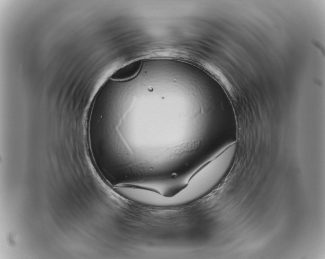 X0000096421483200802141622