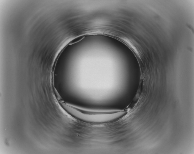 X0000096421484200802141622