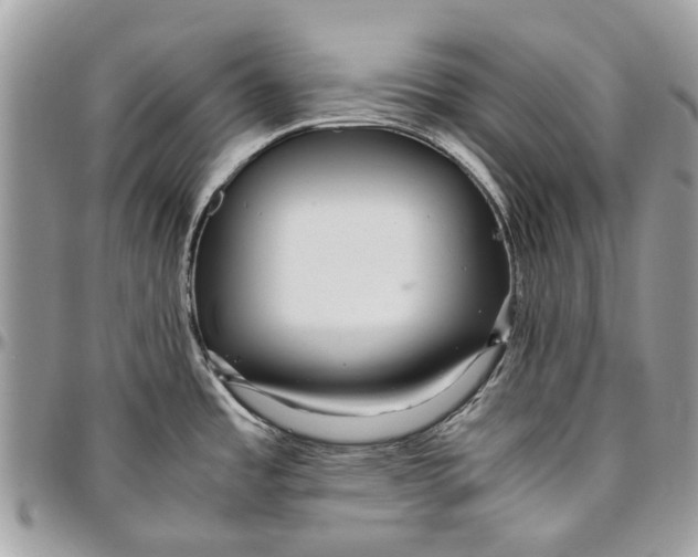 X0000096421485200802141622