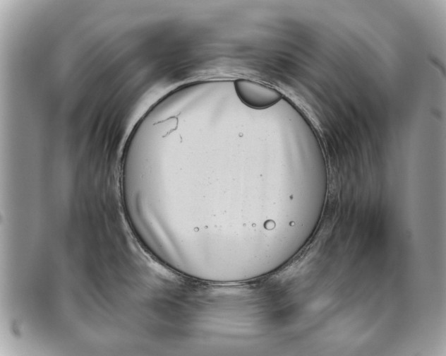 X0000096421486200802141622