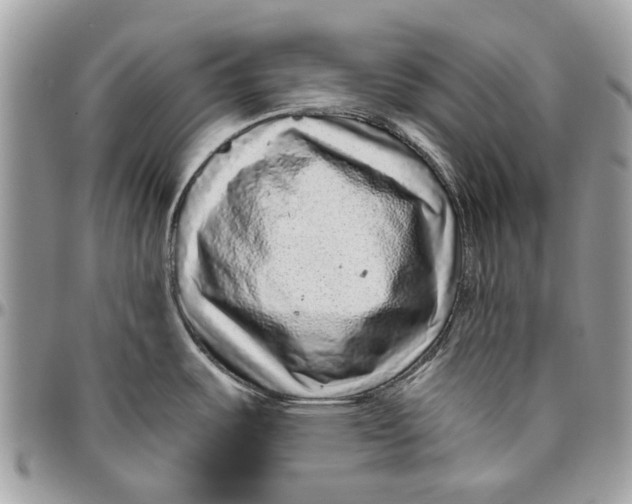 X0000096421487200802141622