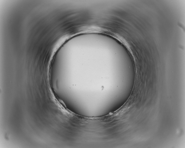 X0000096421488200802141622