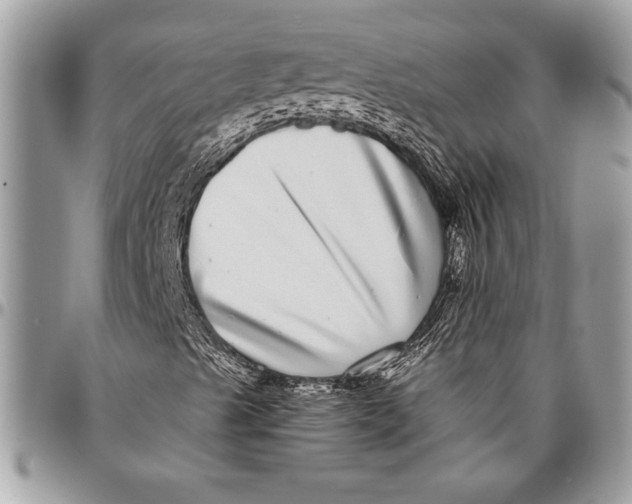 X0000096421489200802141621