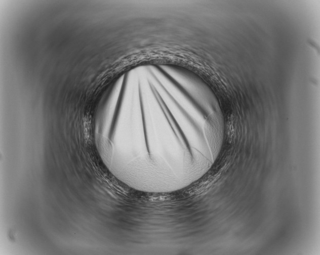 X0000096421490200802141621