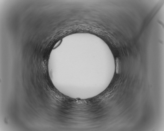 X0000096421491200802141621