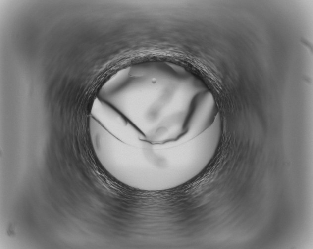 X0000096421492200802141621