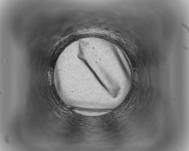 X0000096421493200802141621