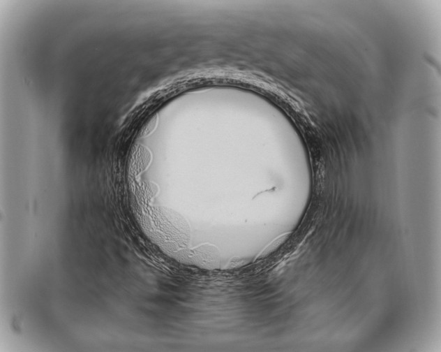 X0000096421494200802141621