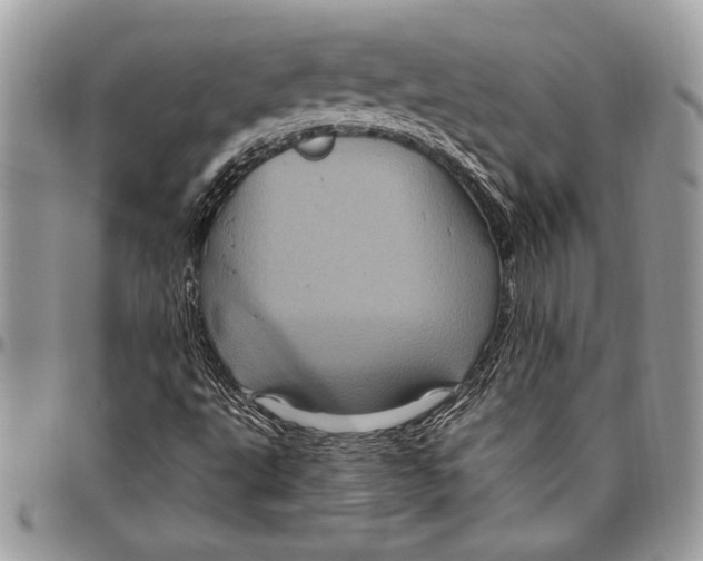 X0000096421495200802141621