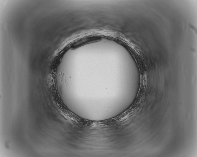 X0000096421496200802141621