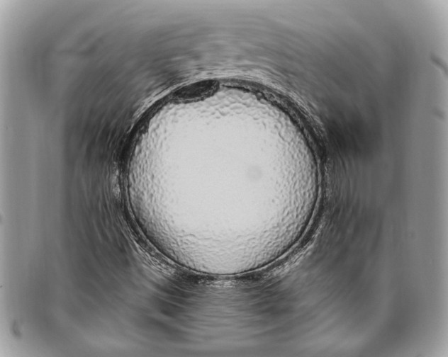 X0000096421497200802141621