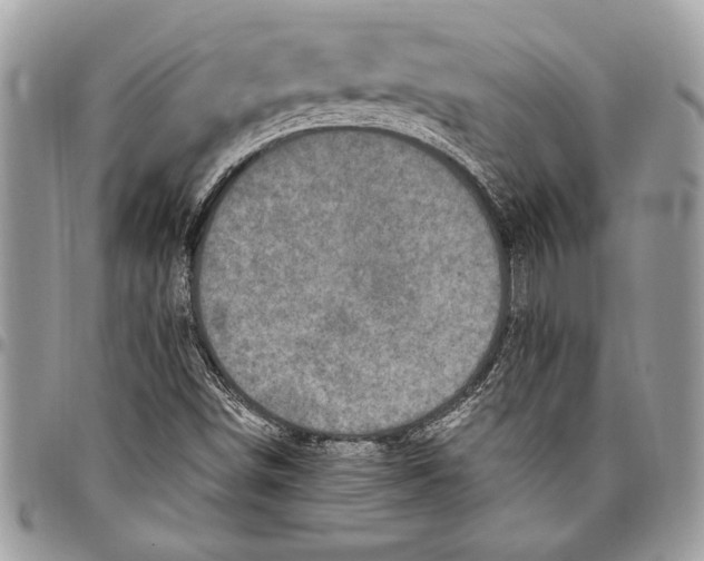 X0000096421498200802141621