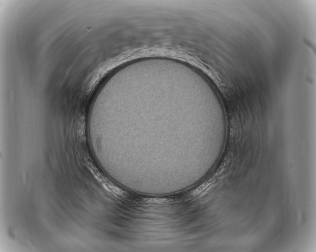 X0000096421499200802141621