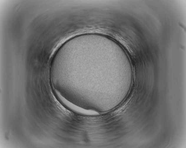 X0000096421500200802141621