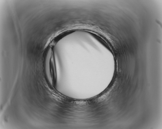 X0000096421501200802141621