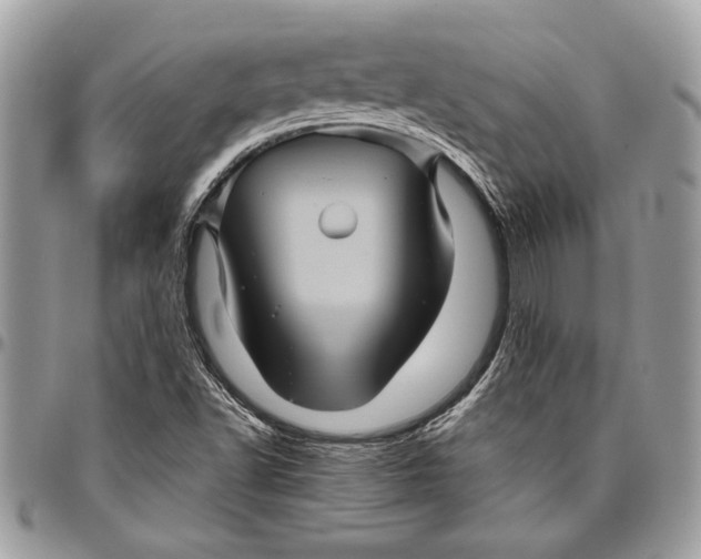 X0000096421502200802141621